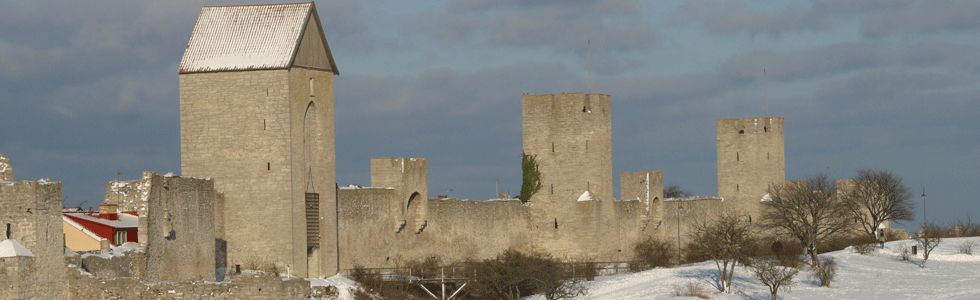 Medieval town skyline